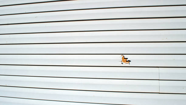 Best Wood Siding Installation  in Burke Centre, VA